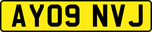 AY09NVJ