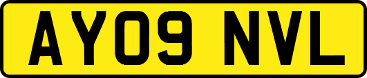 AY09NVL