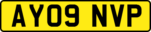 AY09NVP