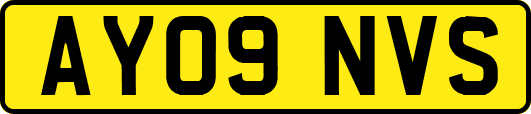 AY09NVS