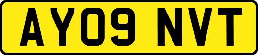 AY09NVT