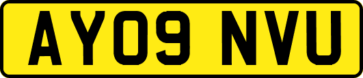 AY09NVU