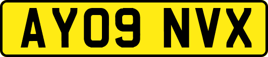 AY09NVX
