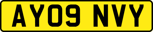 AY09NVY
