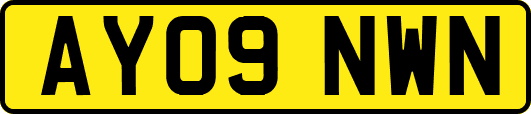 AY09NWN