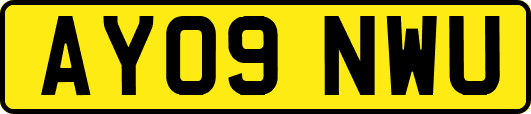 AY09NWU