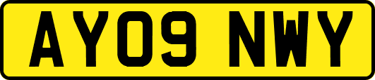 AY09NWY