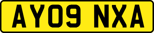 AY09NXA
