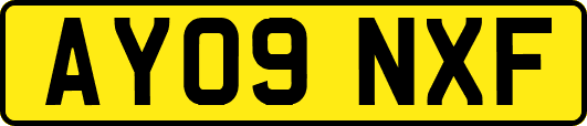 AY09NXF