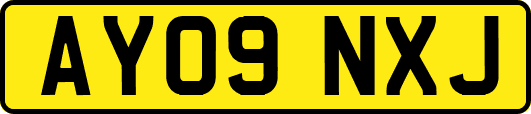 AY09NXJ
