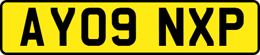 AY09NXP
