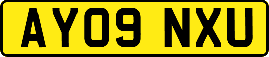 AY09NXU