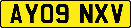AY09NXV