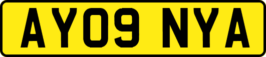 AY09NYA