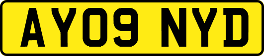 AY09NYD