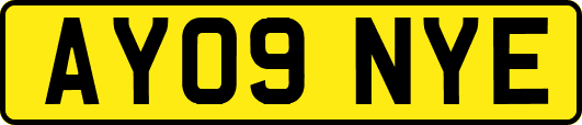 AY09NYE