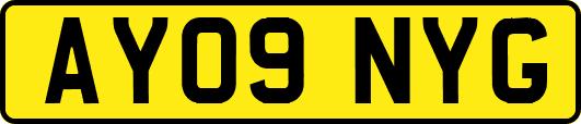 AY09NYG