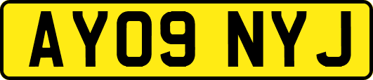AY09NYJ