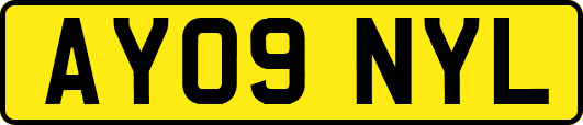 AY09NYL