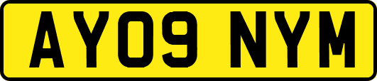 AY09NYM