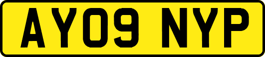 AY09NYP