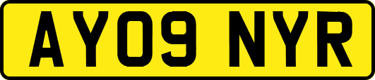 AY09NYR