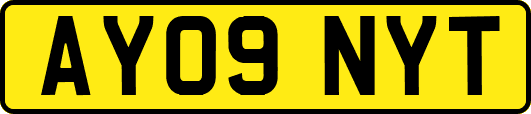 AY09NYT
