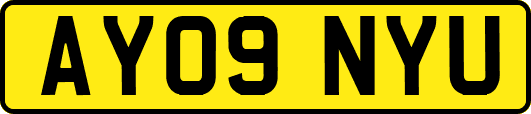 AY09NYU
