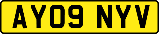 AY09NYV