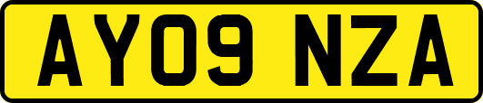 AY09NZA