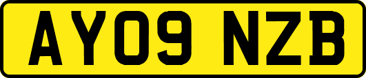 AY09NZB