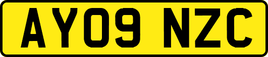 AY09NZC