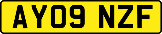 AY09NZF
