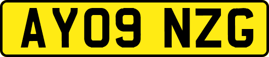 AY09NZG