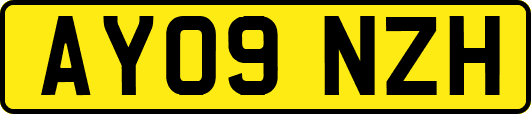 AY09NZH
