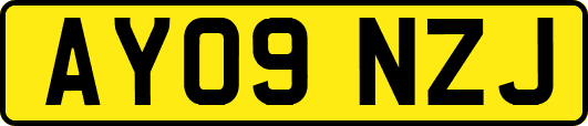 AY09NZJ