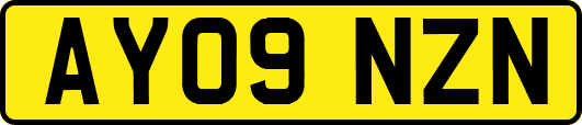 AY09NZN