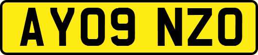 AY09NZO