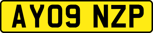AY09NZP