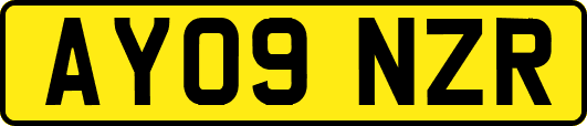 AY09NZR