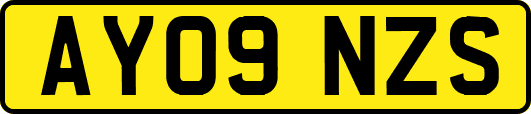 AY09NZS