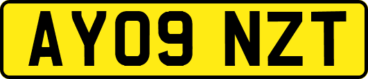 AY09NZT