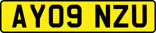 AY09NZU