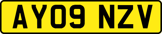 AY09NZV