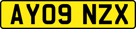 AY09NZX