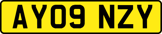 AY09NZY