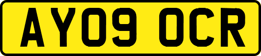 AY09OCR