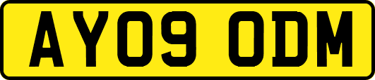 AY09ODM