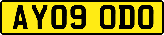 AY09ODO