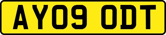 AY09ODT